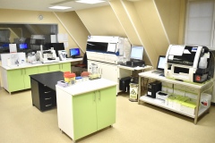 IMG_9385